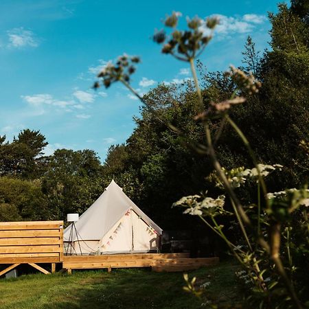 Willow Valley Glamping Bude Exterior foto