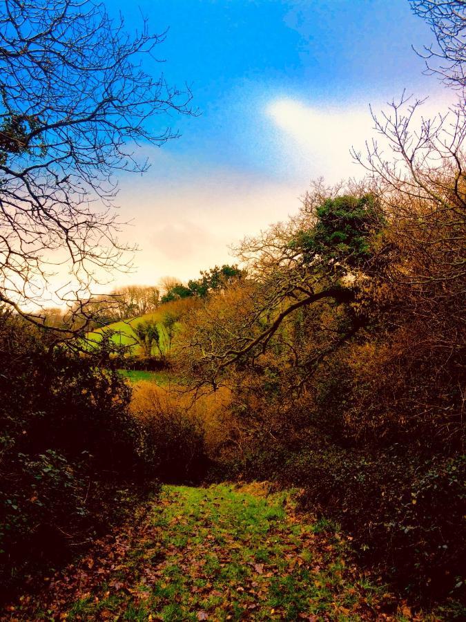 Willow Valley Glamping Bude Exterior foto